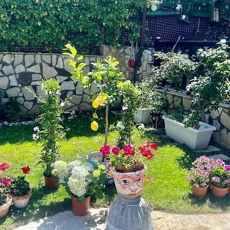 Holiday home Eco-chic Carini