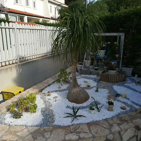 Eco-chic