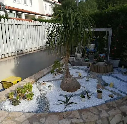 Eco-chic