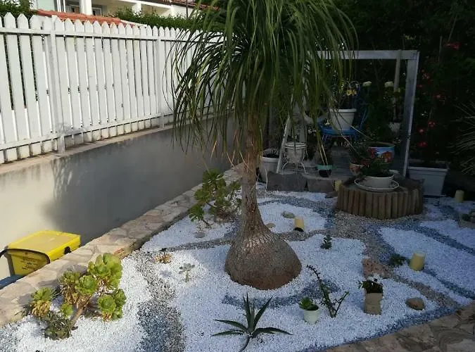 Eco-chic
